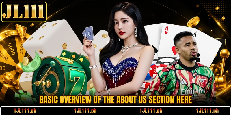 Basic overview of the about us section here