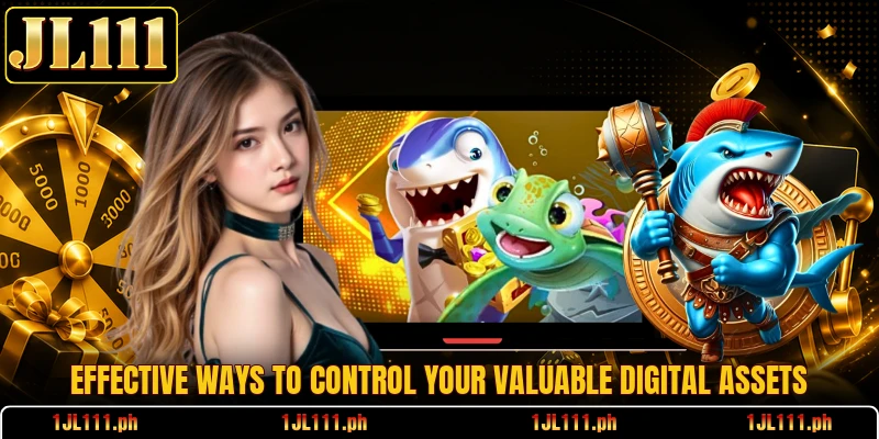 Effective ways to control your valuable digital assets