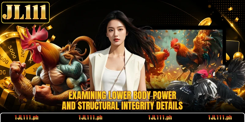 Examining lower body power and structural integrity details